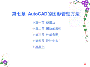 AutoCAD的图形管理方法.ppt