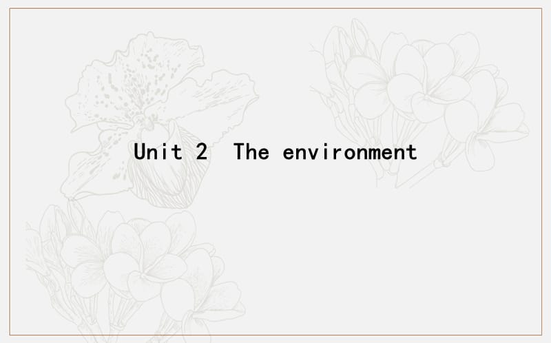2020版导与练一轮译林英语课件：第一部分　语言知识 必修5 Unit 2　The environment .ppt_第1页