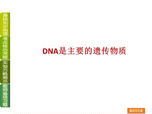 DNA是主要的遗传物质半成品课件.ppt
