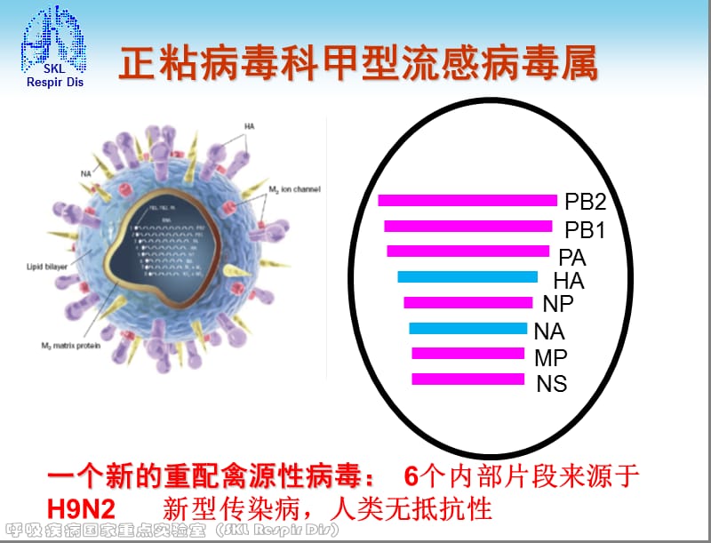 人感染H7N9禽流感诊疗方案(2013年).ppt_第3页