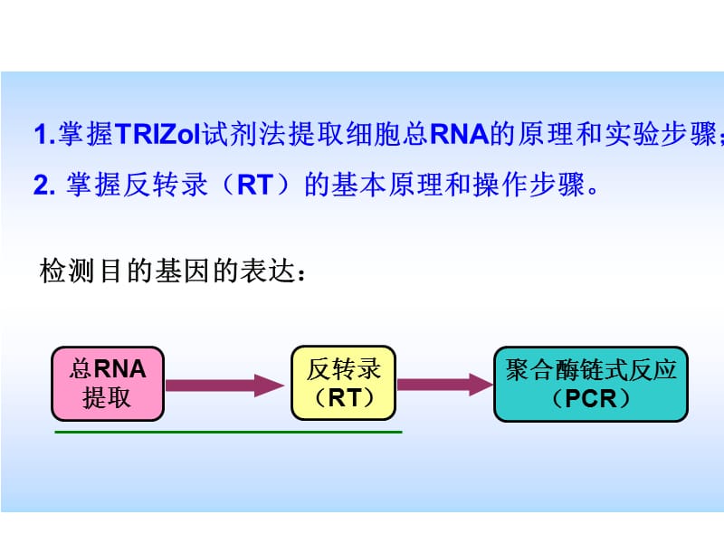 实验八 总RNA提取和反转录.ppt_第2页