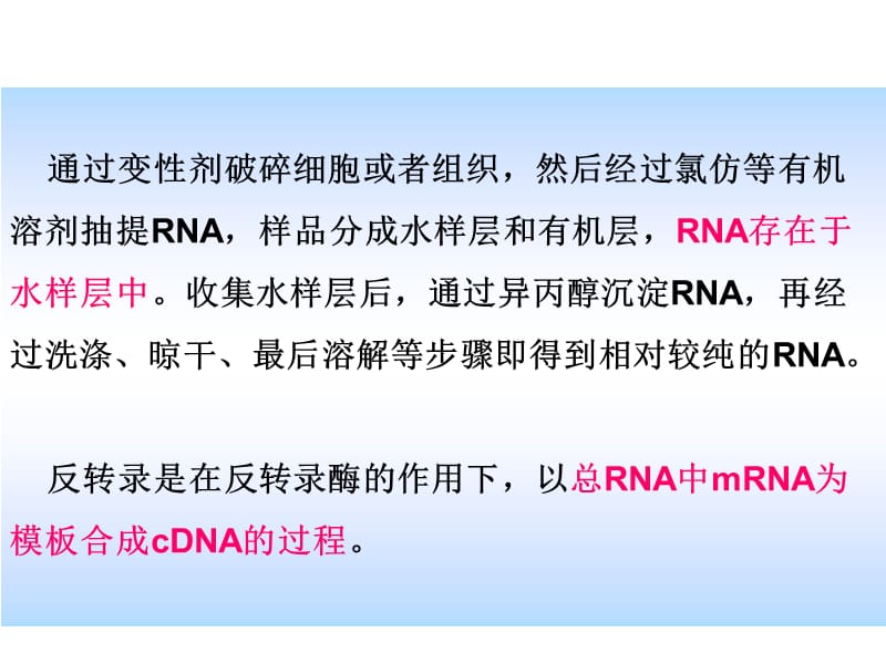 实验八 总RNA提取和反转录.ppt_第3页