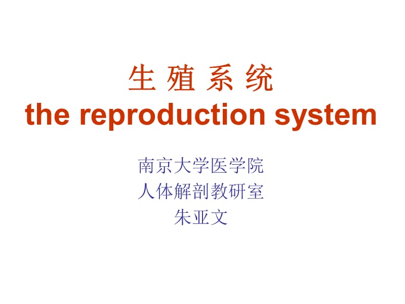 南京大学医学院系统解剖学课件-生殖系统.ppt_第1页