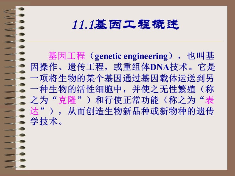 第十一章基因工程--精品PPT课件.ppt_第3页