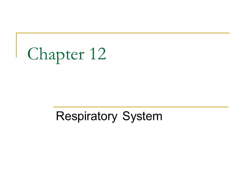 chapter 12 呼吸系统.ppt_第1页