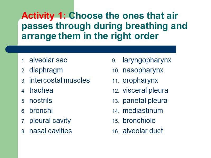 chapter 12 呼吸系统.ppt_第2页