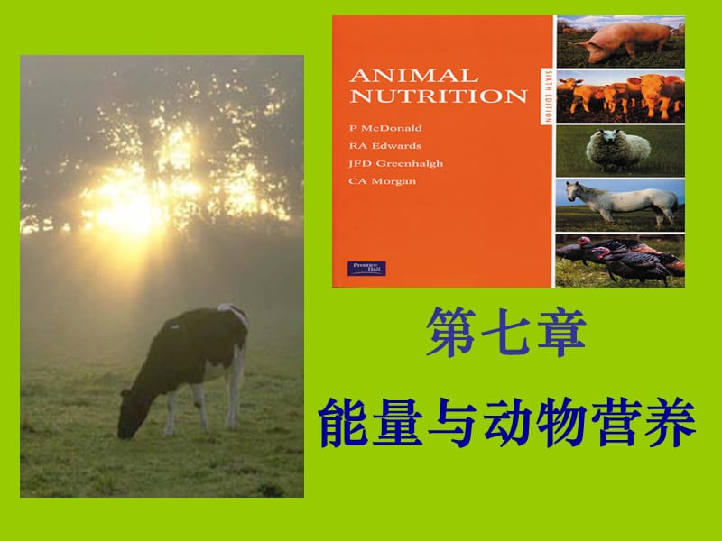 第七章能量与动物营养.ppt_第1页