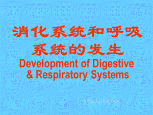 消化系统和呼吸系统的发生PPT.ppt