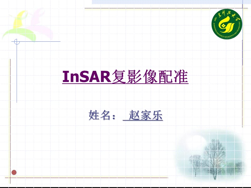 INSAR复影像配准方法.ppt_第1页