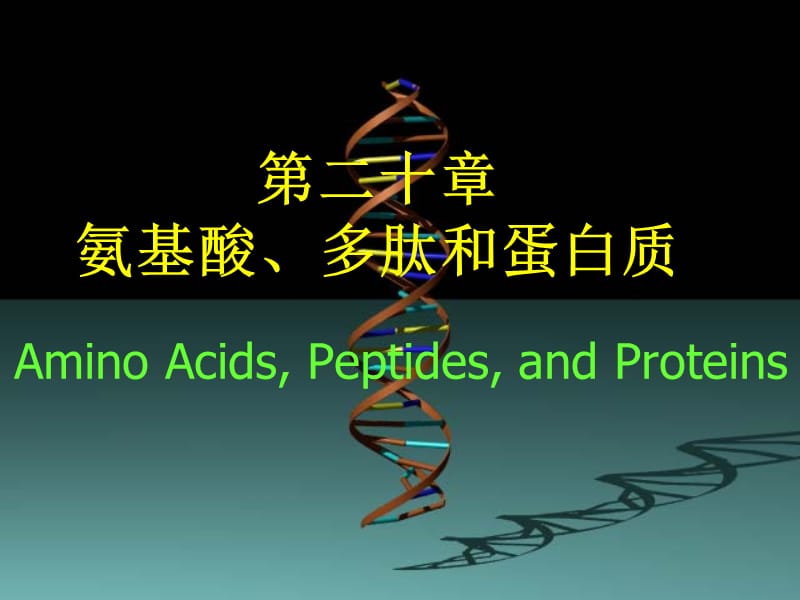 chapter21 氨基酸、蛋白质与核酸.ppt_第1页