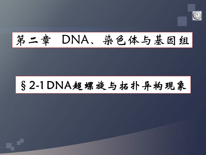 DNA超螺旋、基因组、染色体.ppt_第1页