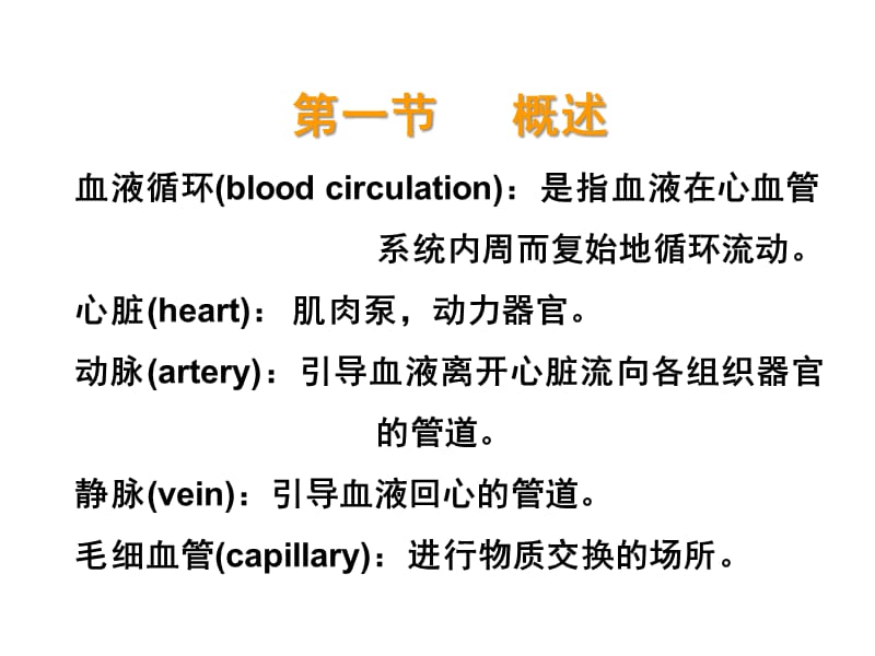 第七章血液循环.ppt_第2页