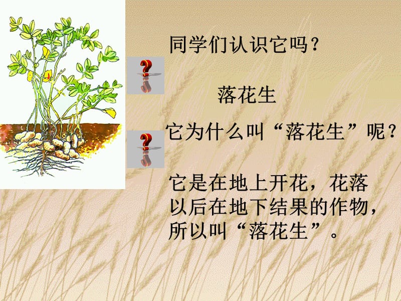 同学们认识它.ppt_第1页