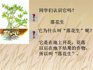 同学们认识它.ppt