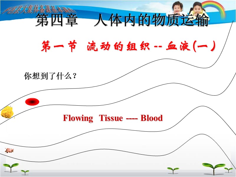 第一节流动的组织血液一.ppt_第1页