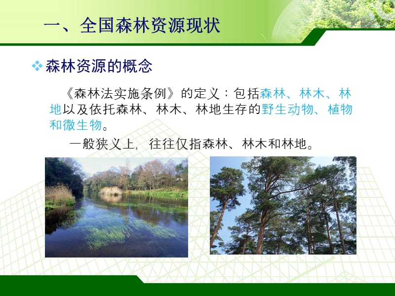 森林资源管理(内蒙古讲稿)(最终).ppt_第3页