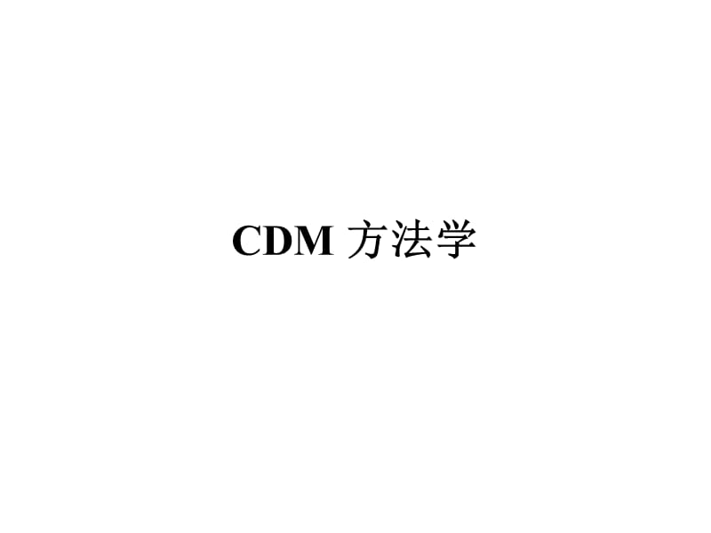 中国-丹麦CDM研讨会.ppt_第2页