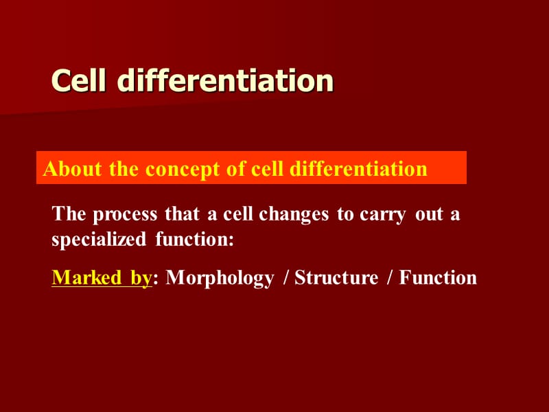 胚胎干细胞.ppt_第2页