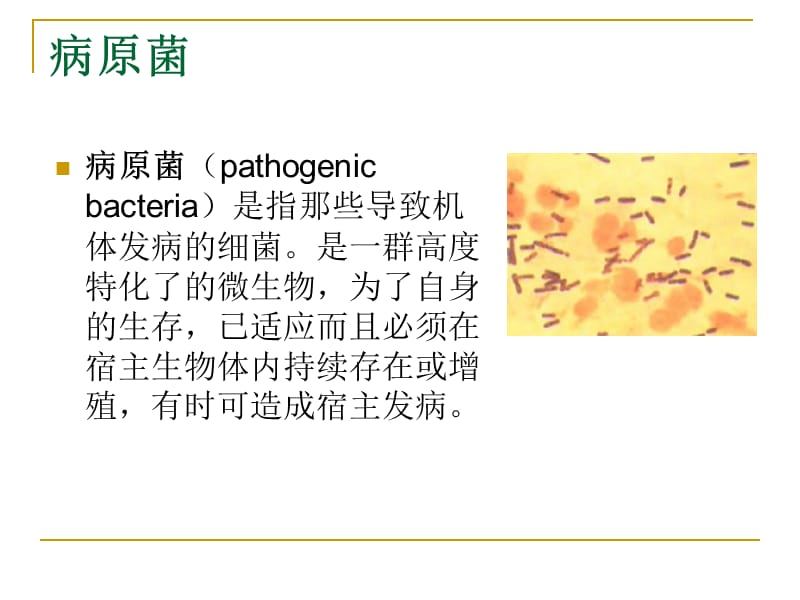 酵母作为研究病原菌致病效应分子的工具.ppt_第2页