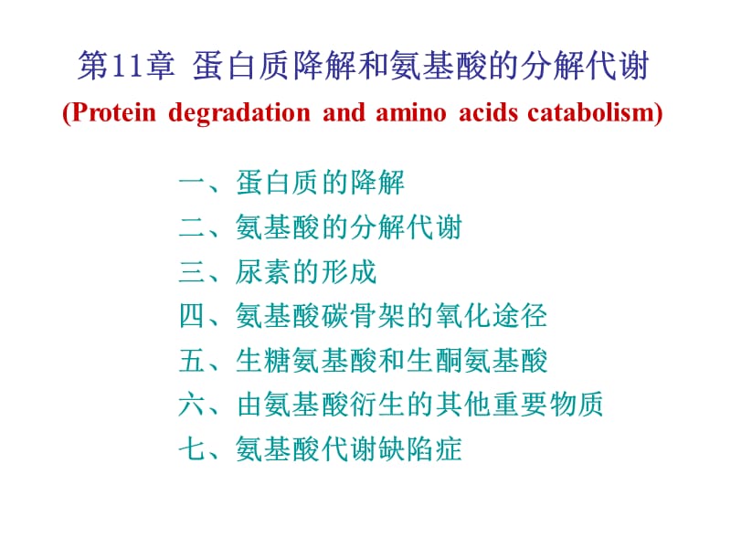 蛋白质代谢20121720.ppt_第1页