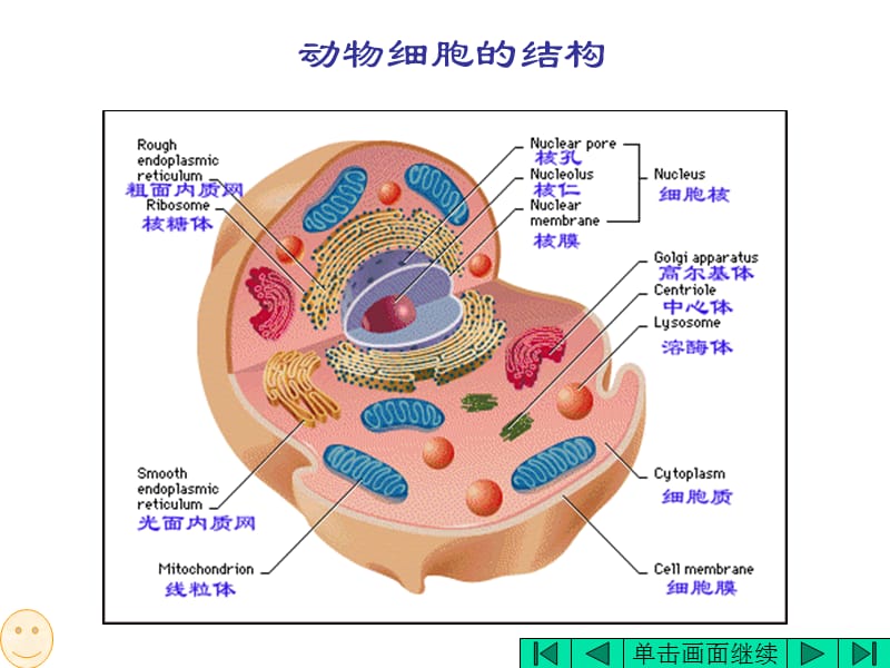 细胞结构和功能.ppt_第2页