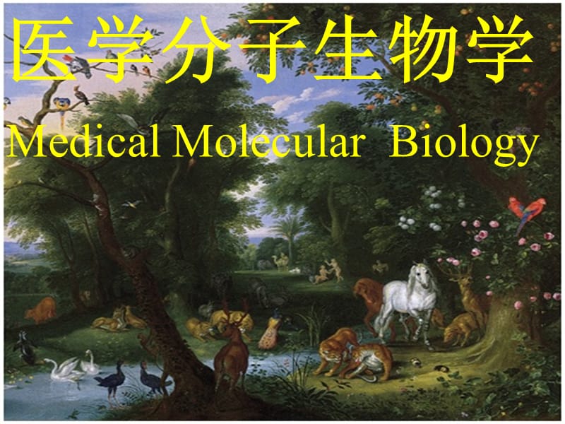 医学分子生物学(Medical Molecular Biology).ppt_第1页