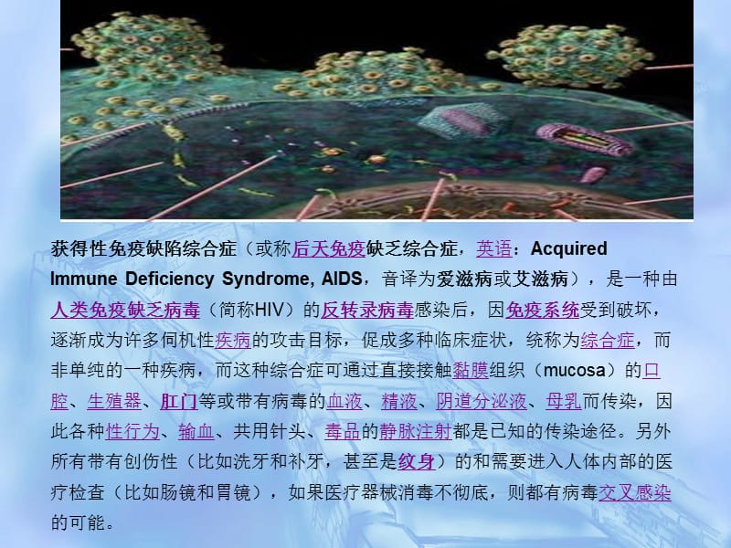 艾滋病小斗士ppt.ppt_第1页