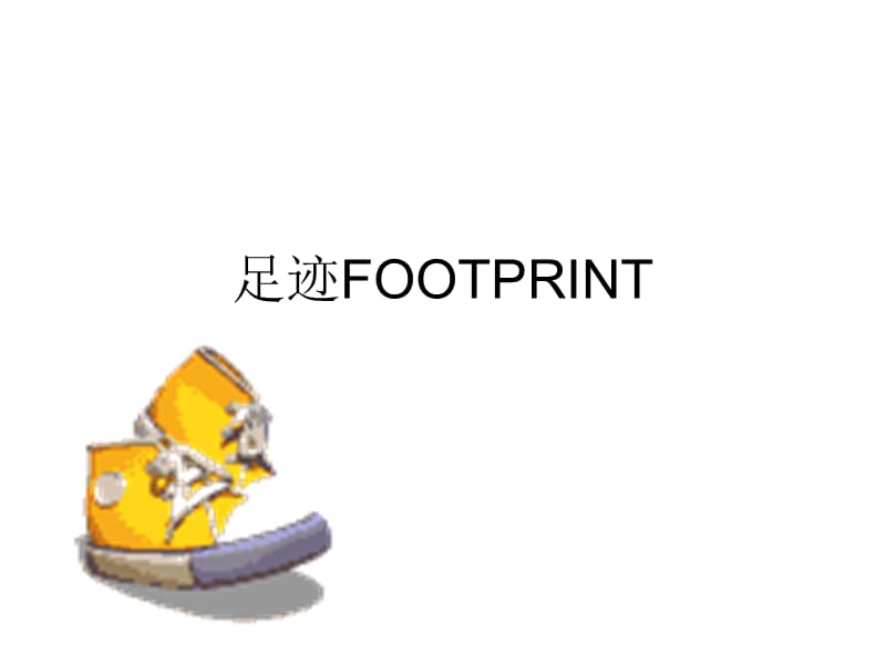 足迹FOOTPRINT足迹足迹.ppt_第1页