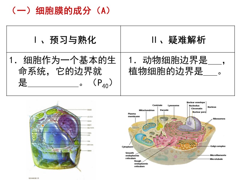 组织学.ppt_第2页