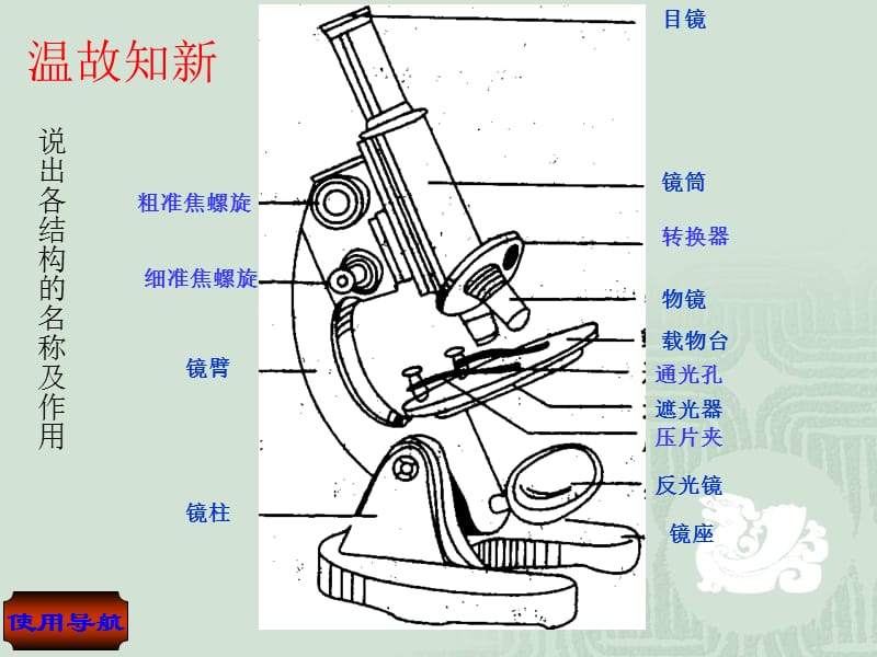 第五讲显微镜的结构和使用.ppt_第2页