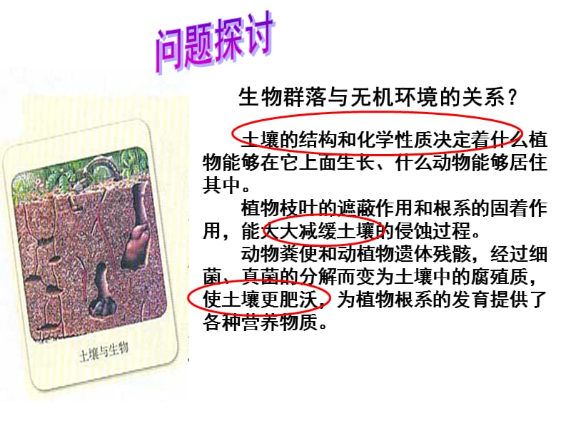 5-1陈焕程生态系统的结构.ppt_第2页