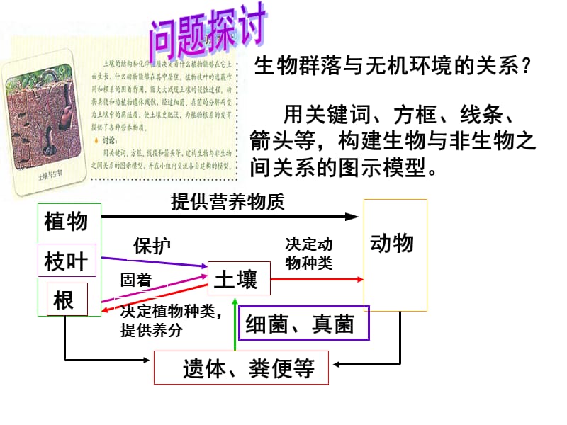 5-1陈焕程生态系统的结构.ppt_第3页