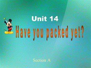 九年级英语全册 Unit 14 Have you packed yet全单元课件 人教新目标版.ppt