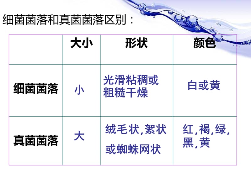 八年级生物上册复习重点.ppt_第2页