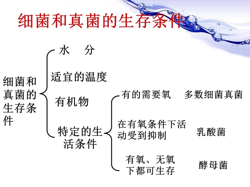 八年级生物上册复习重点.ppt_第3页