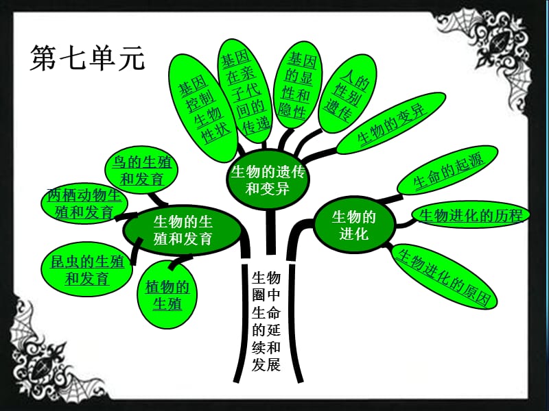 八年级生物下册总复习.ppt_第1页