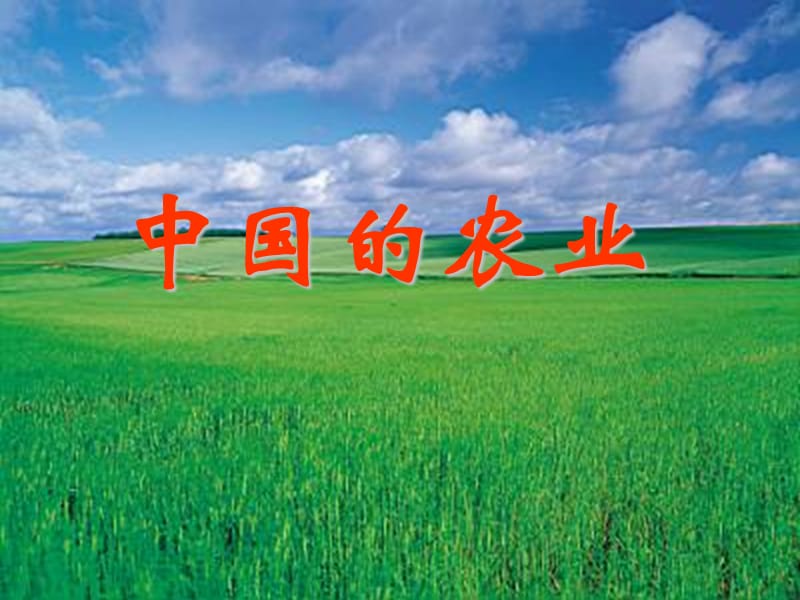 《中国的农业》、ppt课件、适合高中复习教学.ppt_第1页
