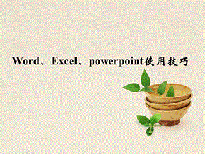 Word、Excel、powerpoint使用技巧.ppt
