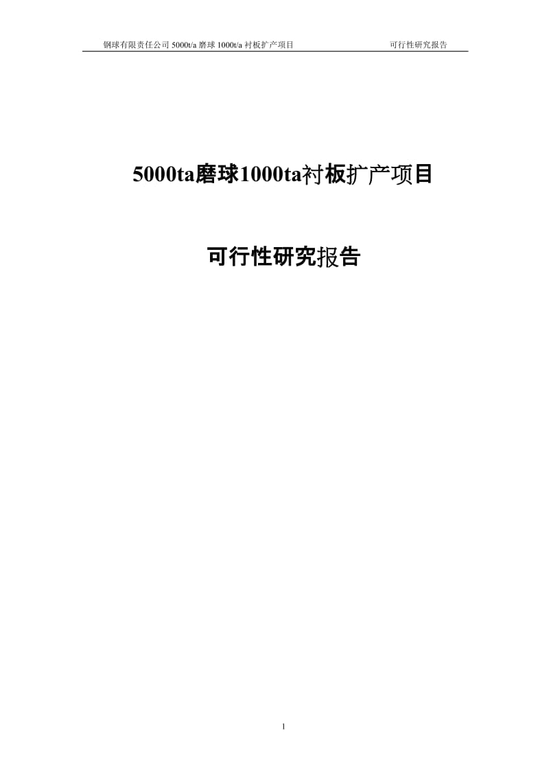 5000ta磨球1000ta衬板扩产项目可行性研究报告.doc_第1页