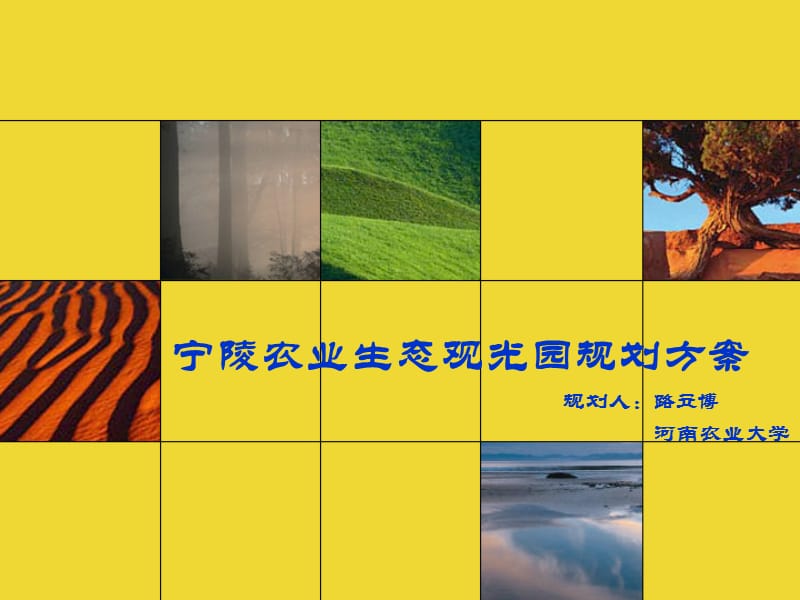 宁陵农业生态观光园规划方案设计.ppt_第1页