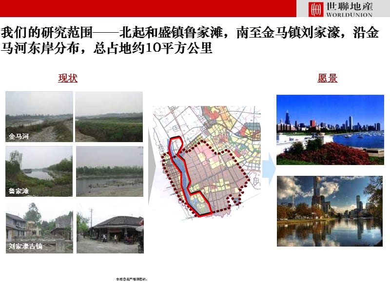 成都温江金马项目发展战略研究报告(s联-193页） .ppt_第3页