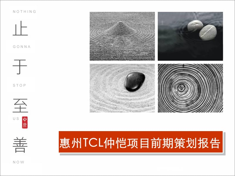 惠州TCL仲恺项目前期策划报告(225页） .ppt_第1页