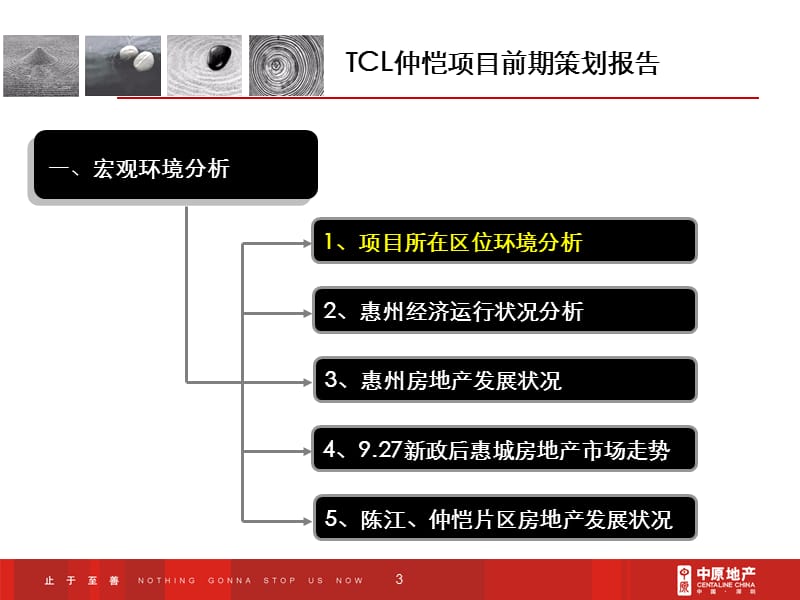 惠州TCL仲恺项目前期策划报告(225页） .ppt_第3页