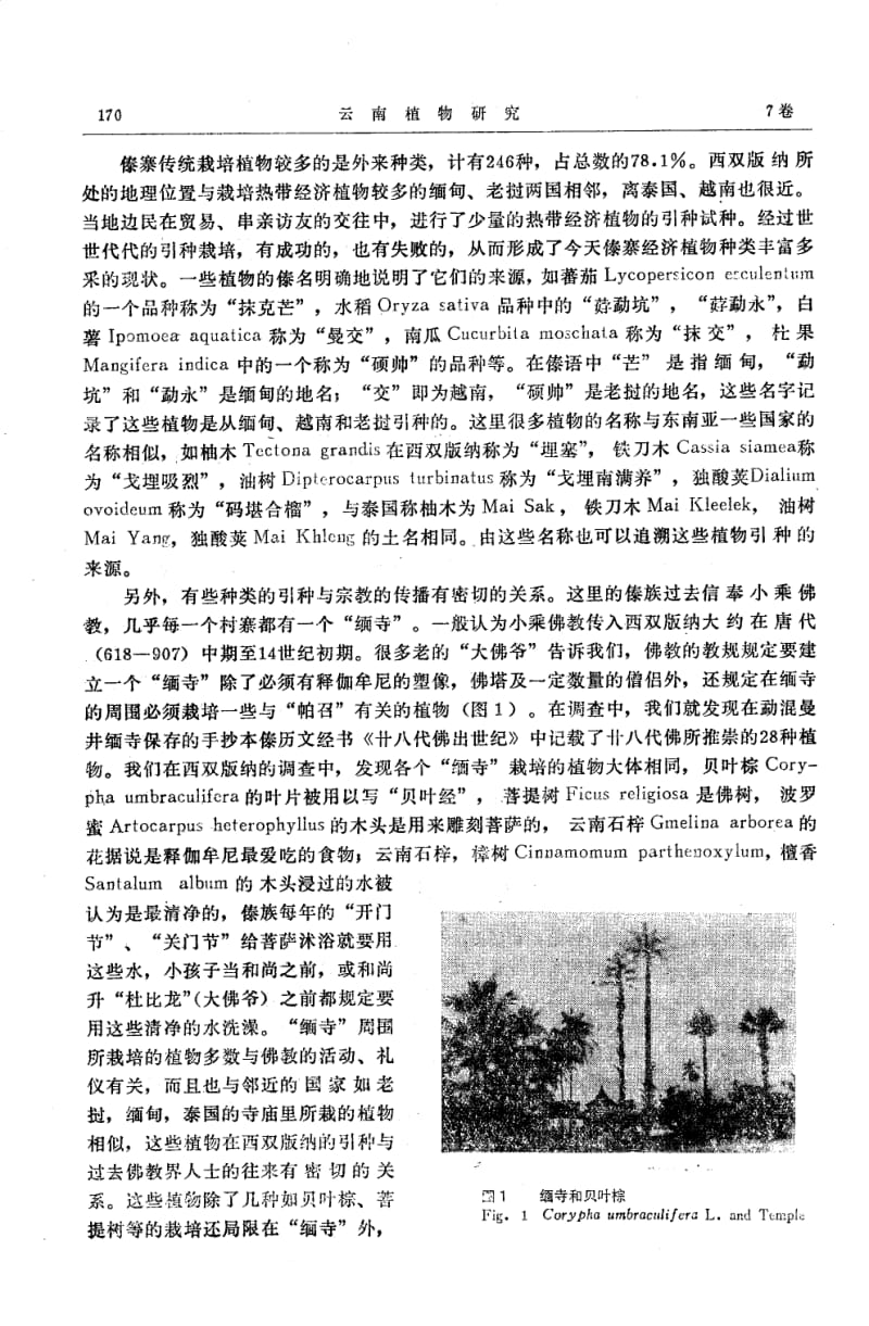 西双版纳傣寨传统栽培植物的调查研究.pdf_第2页