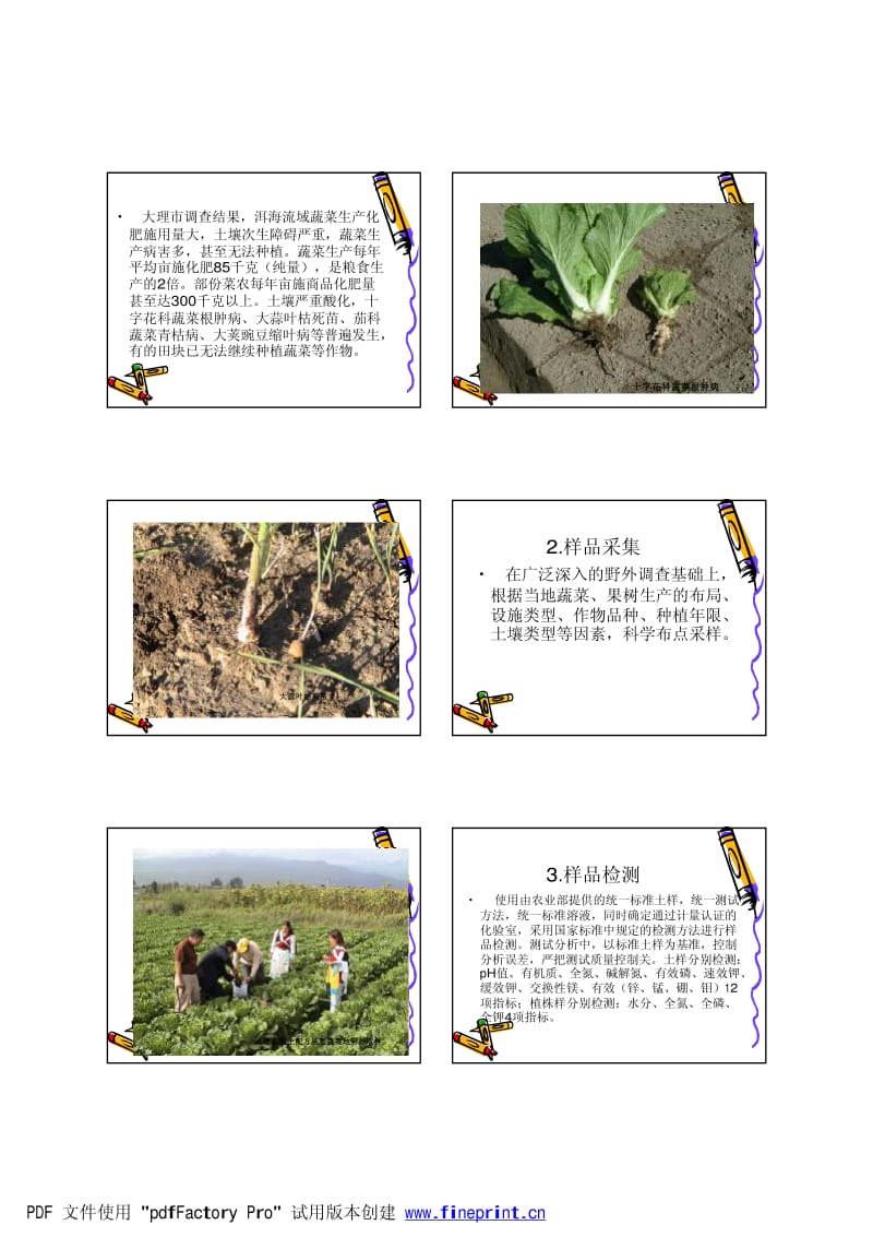 云南省蔬菜果树测土配方施肥主要作法与经验.pdf_第2页