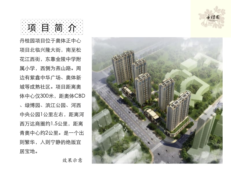 南京市奥体丹桂园项目精装定位报告78p.pptx_第2页