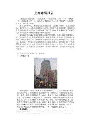 上海来福士广场、恒隆广场、港汇广场等项目市调报告.doc