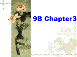 上海版牛津初中英语课件9B Chapter3.ppt