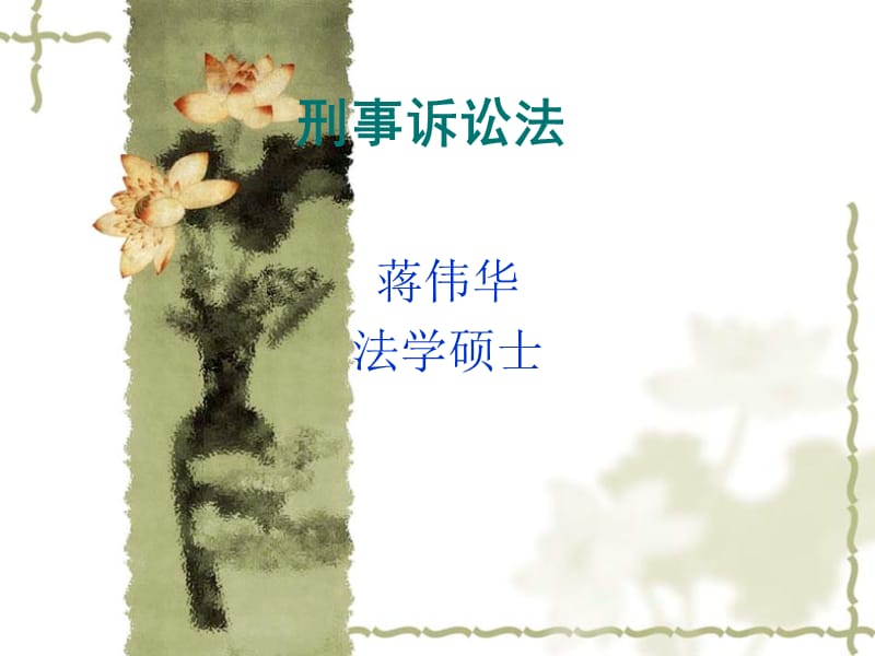 刑事诉讼法总论教学课件PPT.ppt_第1页