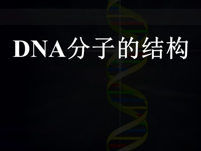 人教版高中生物课件：DNA分子的结构2.ppt_第2页